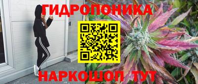 ГАЛЛЮЦИНОГЕННЫЕ ГРИБЫ Берёзовский