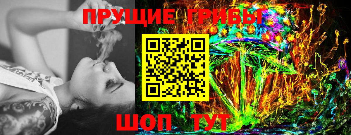 Галлюциногенные грибы мицелий  Вход с VPN  Гатчина 