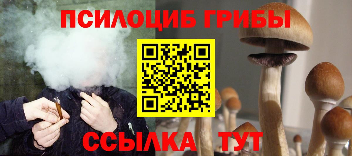 Галлюциногенные грибы Psilocybine cubensis Гатчина