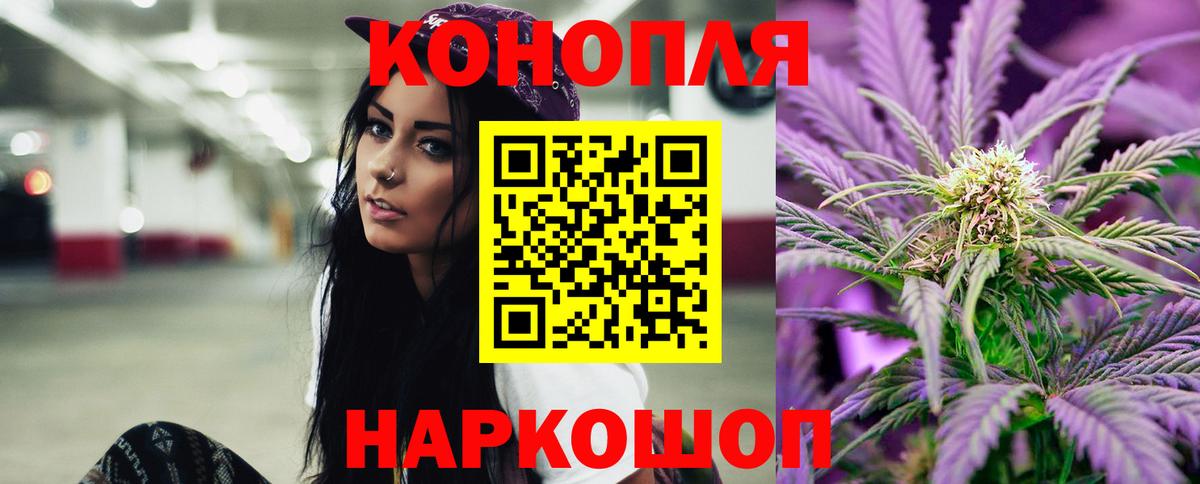 Канабис конопля Гатчина